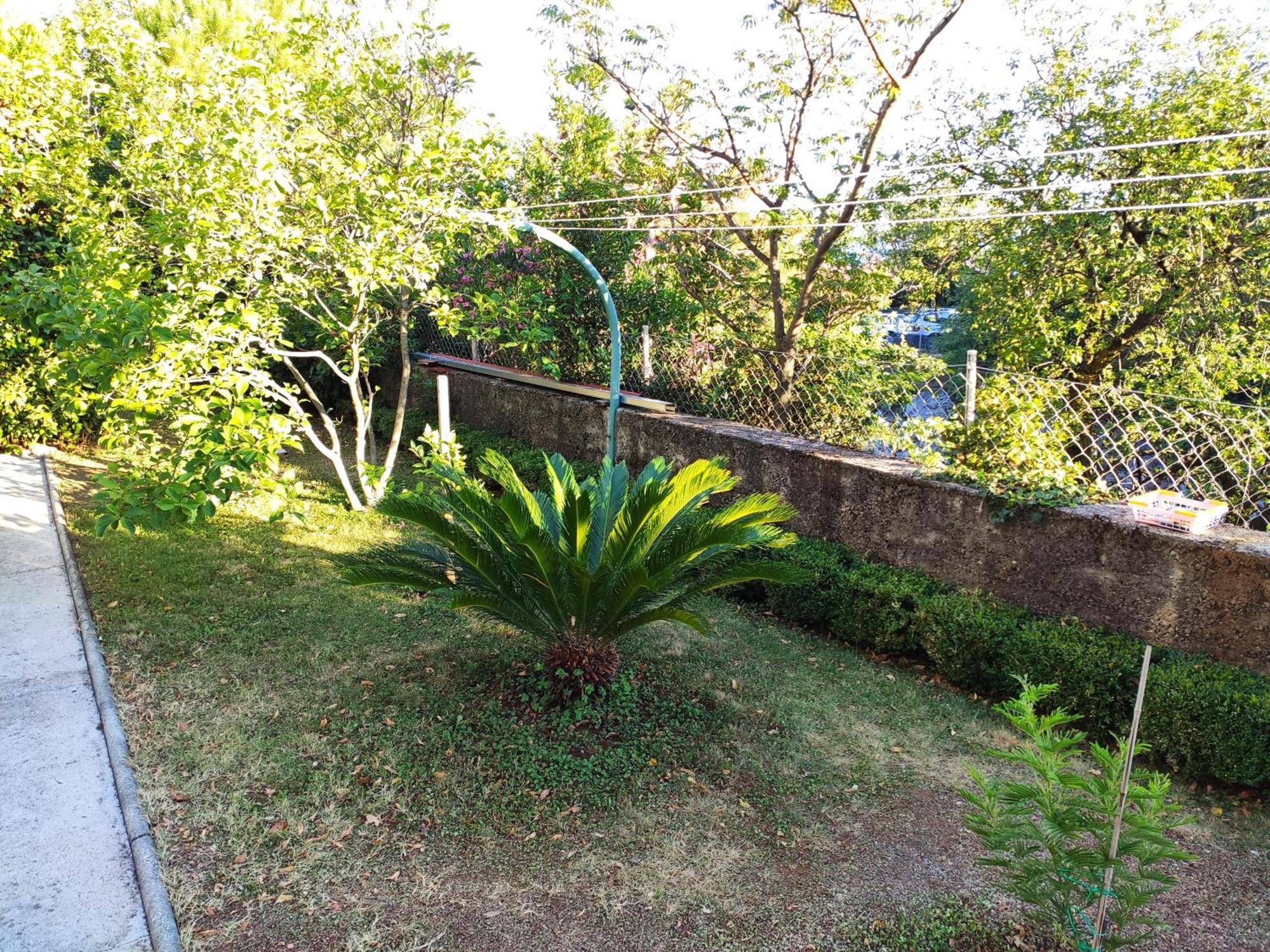 Apartment With Private Garden And The Terrace Ev Station Available Crikvenica Exterior photo